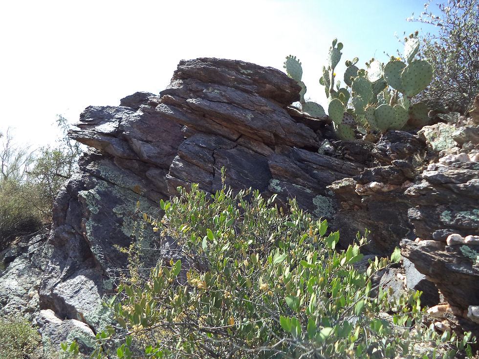 Thumbnail: Superstition Gold #2