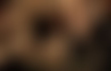 New year new book: it has been emotional