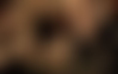 New year new book: it has been emotional