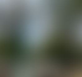 MÁS SEGURIDAD Y CALLES MEJOR ILUMINADAS: GOBIERNO DE TECATE REFUERZA SERVICIOS ELÉCTRICOS EN COLONIAS Y VIALIDADES CLAVE