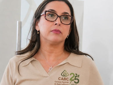 INVITAN A FERIA DE EMPLEO AGRÍCOLA EN SAN QUINTÍN: MATHILDE RIVERA TRUJILLO