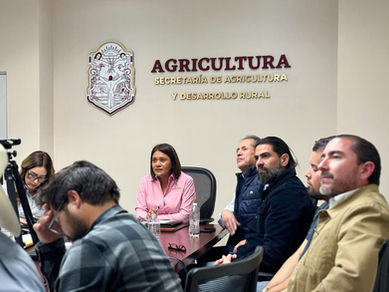 AVANZA SADER BC EN MESAS DE TRABAJO PARA GARANTIZAR PRECIO JUSTO A PRODUCTORES DE TRIGO