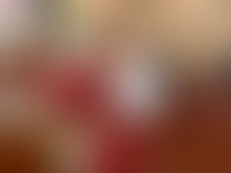 DIP. MICHELLE TEJEDA EXIGE ACCIÓN INMEDIATA CONTRA INVASIÓN DE VIVIENDAS EN BC