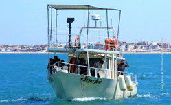EN EL DÍA INTERNACIONAL DE LA VAQUITA MARINA, CELEBRAMOS EL INVOLUCRAMIENTO COMUNITARIO PARA SU CONSERVACIÓN
