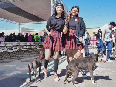 COBACH BC Y EL SANTUARIO ANIMAL MILY: UN TRABAJO CONJUNTO POR EL BIENESTAR ANIMAL
