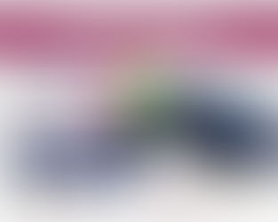 REDUCEN EN 46% LOS ROBOS EN VÍA PÚBLICA CON VIOLENCIA EN EL PRIMER TRIMESTRE DEL 2026: DSPM