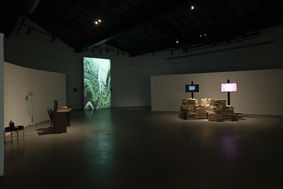 COR08060.jpg