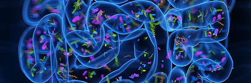 Gut bacteria