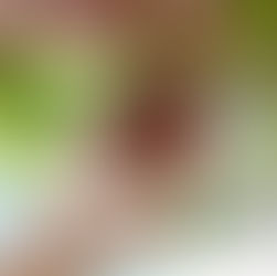 Topraksız Dikey Tarım ile Safran Üretimi: Geleceğin Tarım Yöntemi