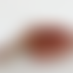 1.Yılın ardından edinilen tecrübeler ve kazanımlar