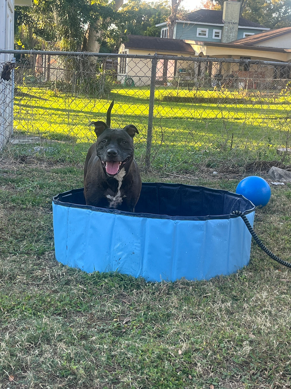 Winter in Florida = still being able to enjoy pool time!