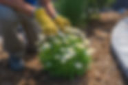AdobeStock_212916497.jpeg