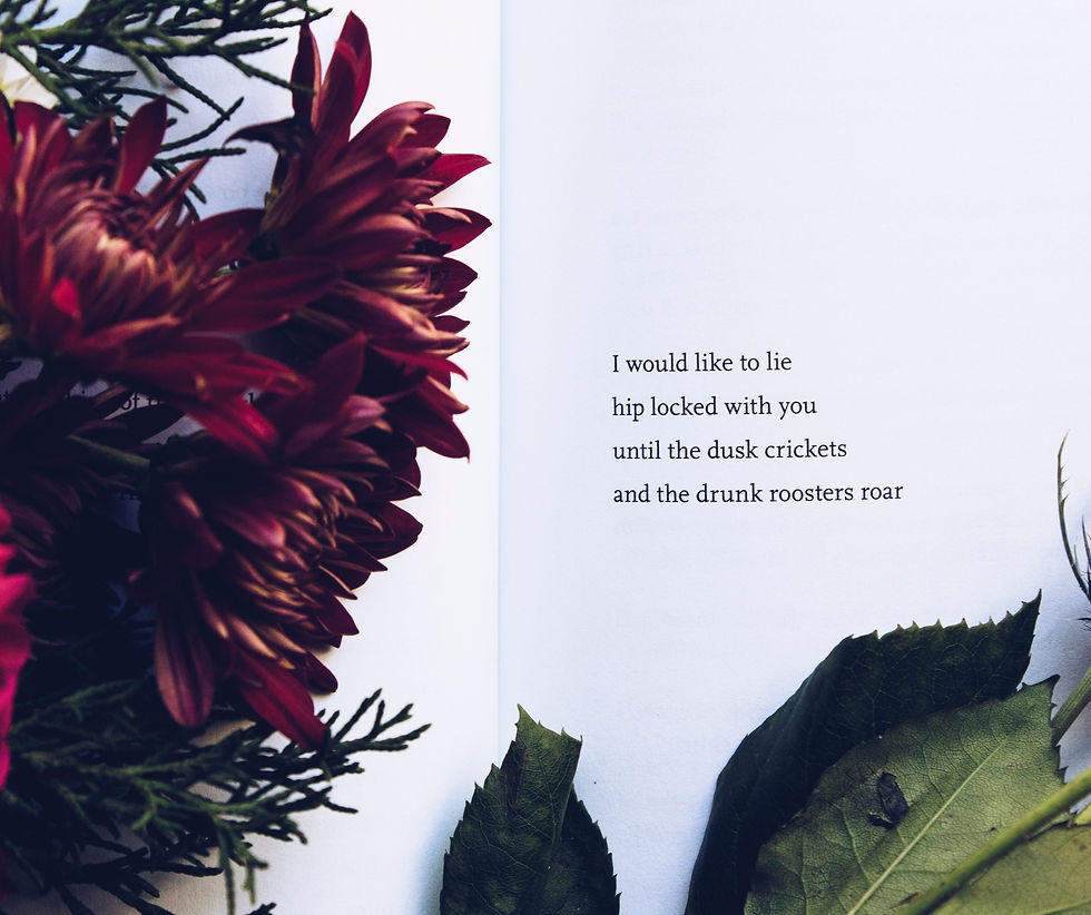 …until the dusk crickets and the drunk roosters roar_edited_edited.jpg