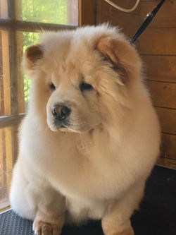 a32d1090-061f-48be-9ae1-4a84a389cd6d