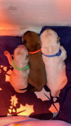 E15D2BE5-C131-4DE3-9678-1814F0E1BCF5