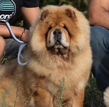 WhatsApp Image 2021-01-31 at 01.23.00.jp