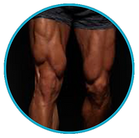 people-quads.png