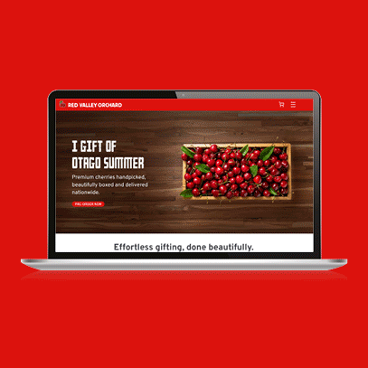 Services website design and build