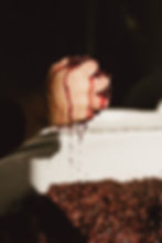 NannyGoat_Winery - Madison James.jpg