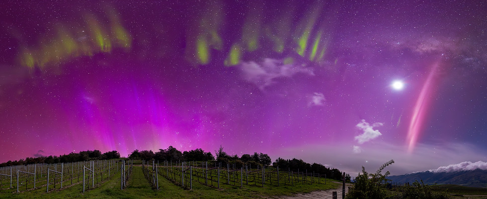 Bendigo_Aurora_8_Oct_2024_CentralOtagoWinegrowersAssociation.jpg