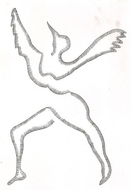 birdmovement.jpeg