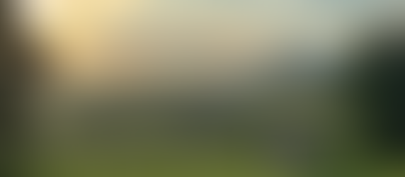 A New Chapter in the Green Heart of Italy.