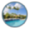 Coral Springs Real Estate | Damiana Mendes Ponce