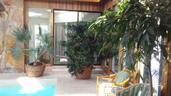 Oyster Bay LI Poolside plantings