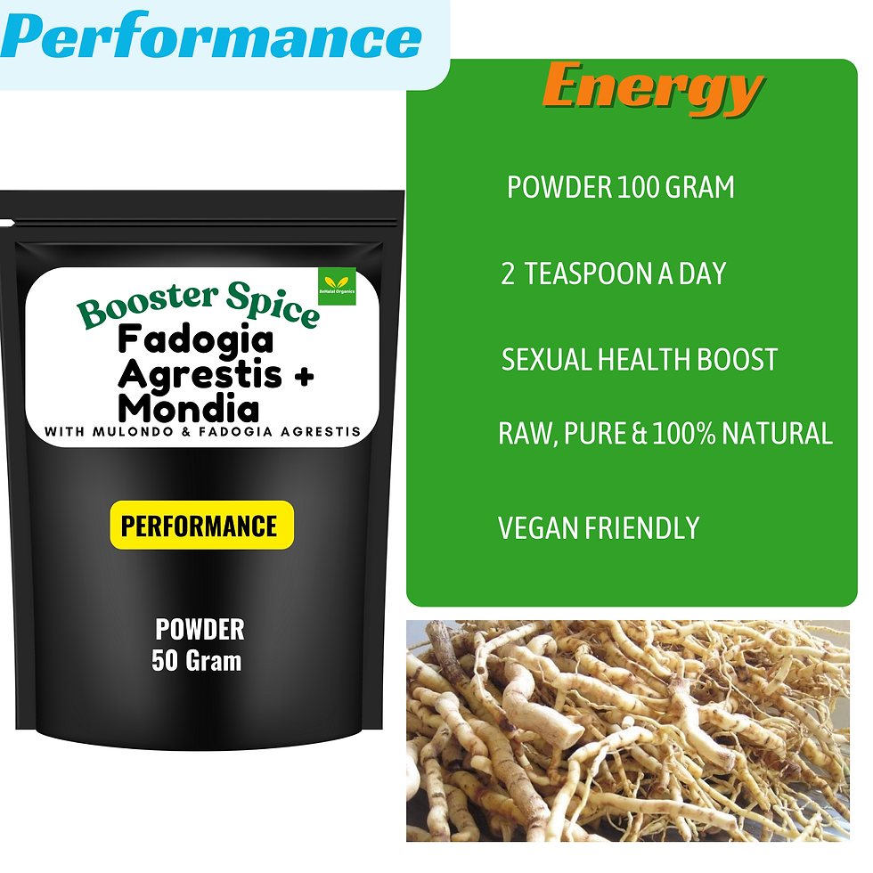 Thumbnail: Fadogia Agrestis & Mondia whitei booster spice powder 50 Gram