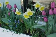 Huntington Home Ready for the Warm Weather