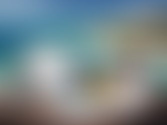 伯利兹公司重要申报与合规要求