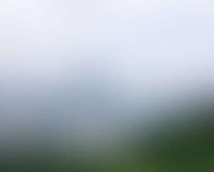 An Overview of Hong Kong's Political Structure