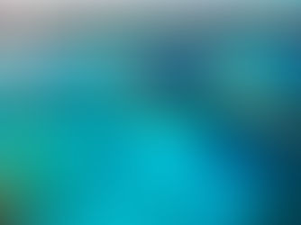 伯利兹金融服务委员会 (FSC) 的重要通知