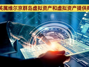 英属维尔京群岛虚拟资产和虚拟资产提供商