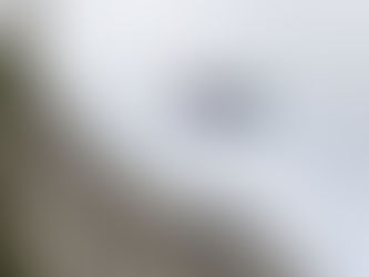 Restoring a BVI Company that has been Dissolved