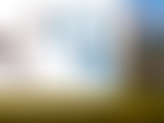 Reinsurance Registration and Renewal for Foreign Entities in Panama