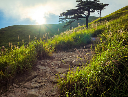 Sun shining upon a pathway through green rolling hills