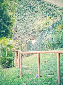 CASA 083