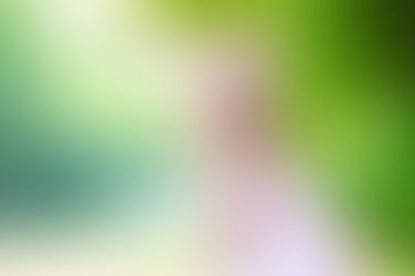 50 frases curtas de Páscoa para enviar e espalhar esperança