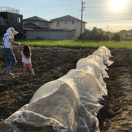 なないろは”畑”をはじめました