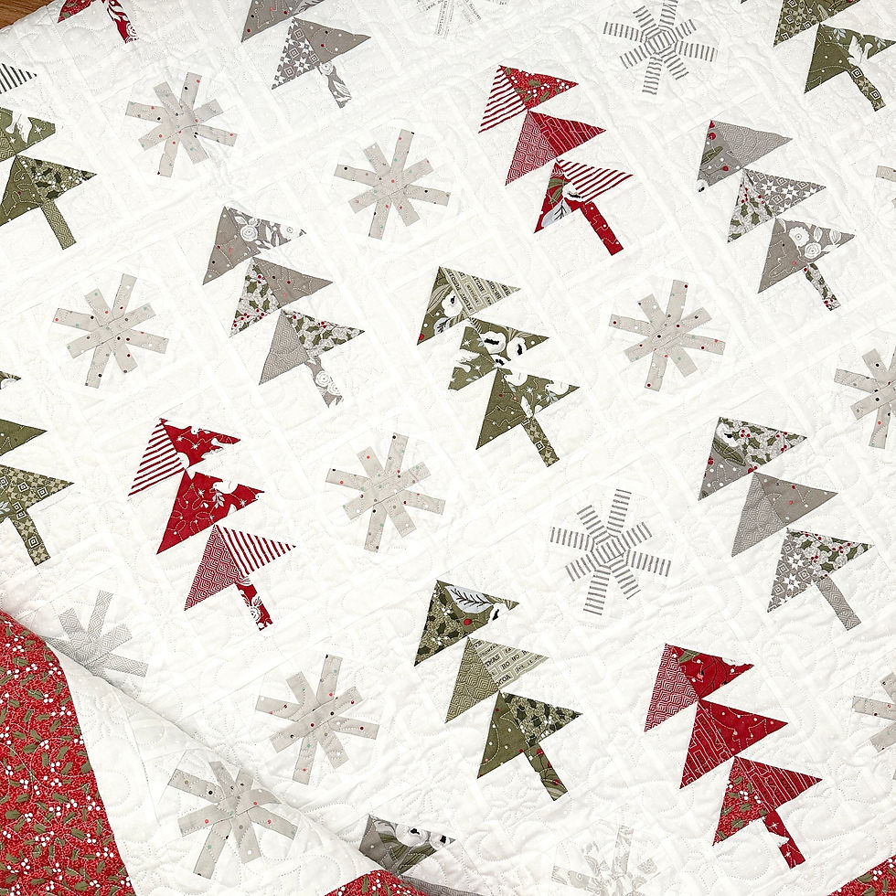 Thumbnail: Covered In Snow PDF