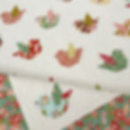Thumbnail: Songbirds PDF