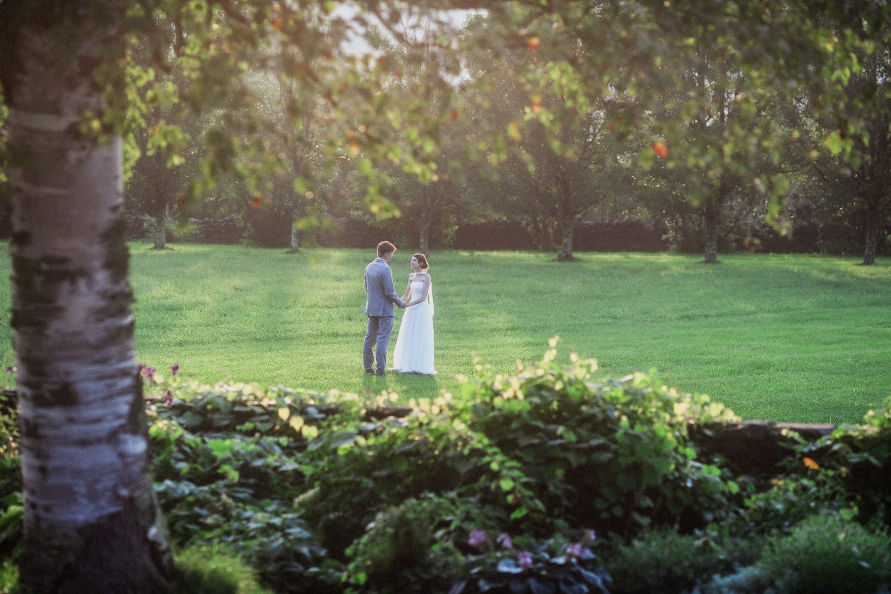 A couple on the lawn below the orchard at golden hour
