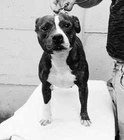 15871297_10205959034173424_1380107972_n