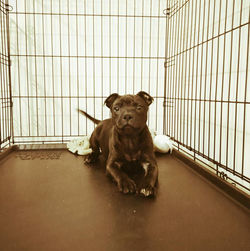 15979018_10206010845628678_700536735_n