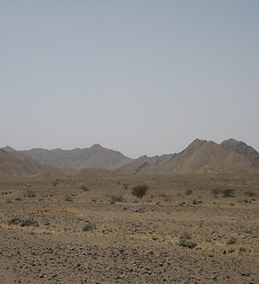 IMG_1324.JPG
