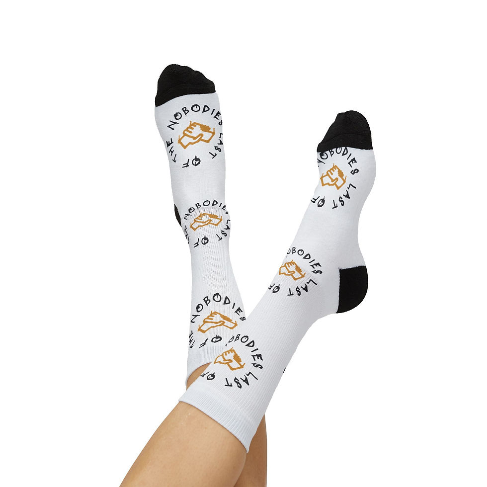 Thumbnail: Last of the Nobodies Socks