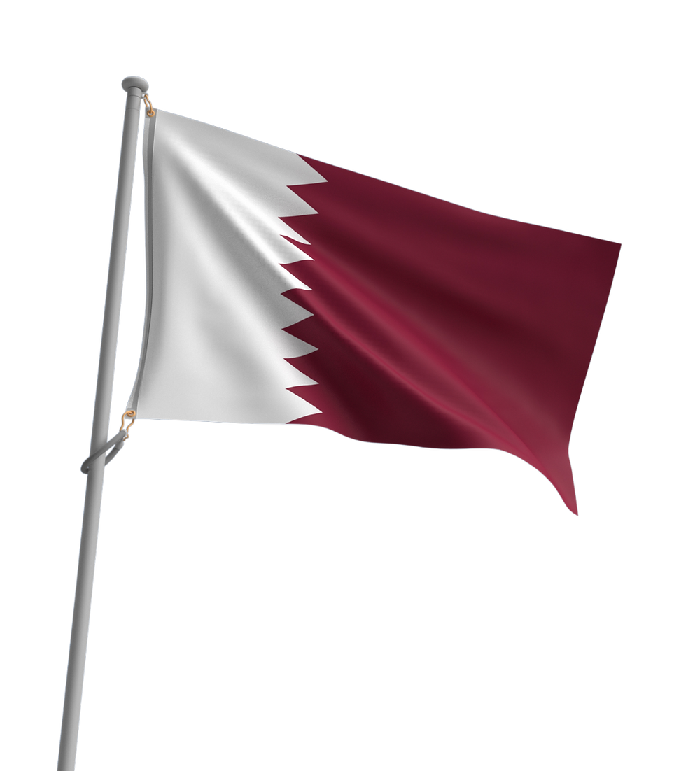Copy of FIABCI GLS Qatar 2027.png