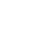 Ibis.png