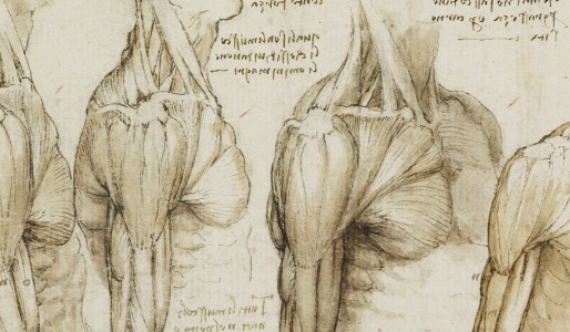 Uso de cadáveres en la enseñanza de anatomía en el pregrado